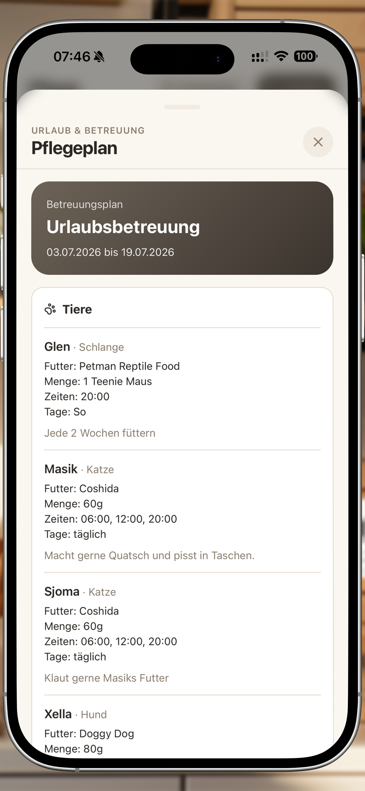 STUFF – Urlaubsbetreuung